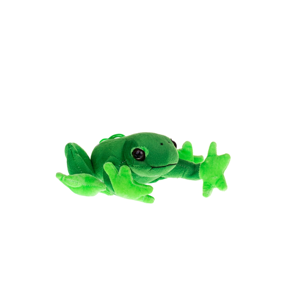 Żabka Zielona